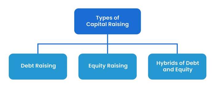 Capital Raising: A Comprehensive Guide